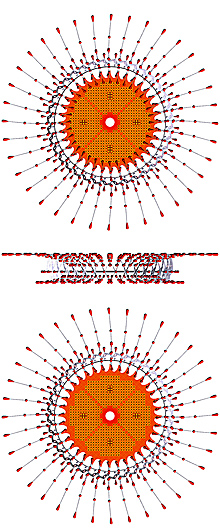 Top and front view of fruurberry