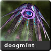 doogmint