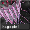 hagopini