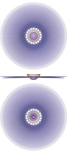 Top and front view of osikstria